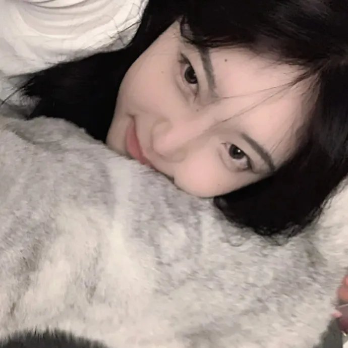 机器肉鸡第五季